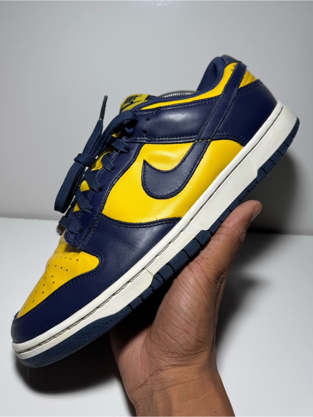 Nike Dunk Low “Michigan” Size 10.5